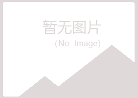 鹤岗兴山友易工程有限公司